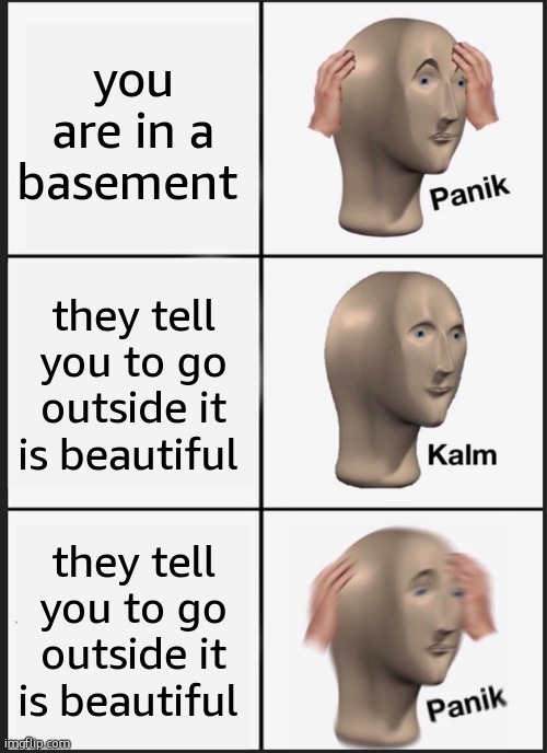 001 | you are in a basement; they tell you to go outside it is beautiful; they tell you to go outside it is beautiful | image tagged in memes,panik kalm panik | made w/ Imgflip meme maker