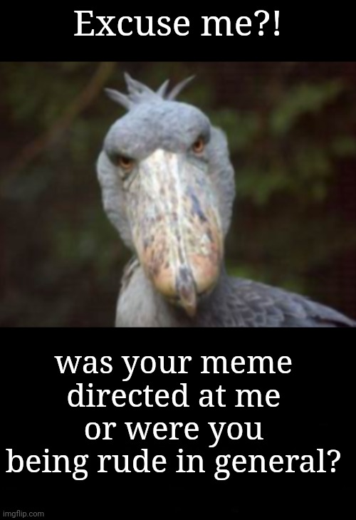 Did You Mean to Insult Me? | Excuse me?! was your meme directed at me or were you being rude in general? | image tagged in excuse me,listen mister | made w/ Imgflip meme maker