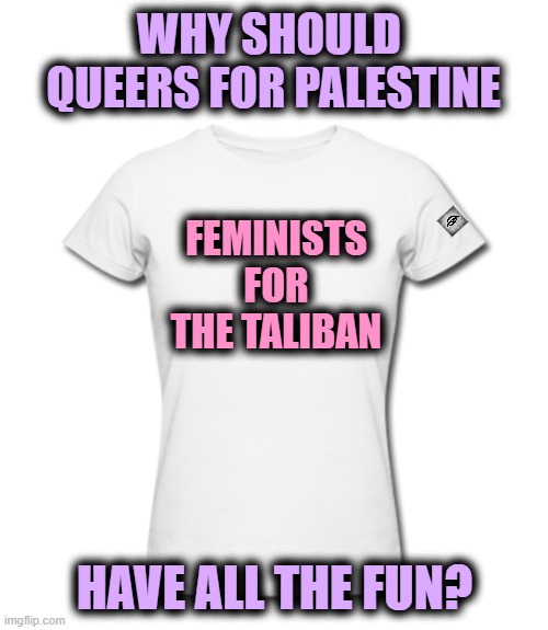 White t-shirt woman | WHY SHOULD 
QUEERS FOR PALESTINE; FEMINISTS FOR THE TALIBAN; HAVE ALL THE FUN? | image tagged in white t-shirt woman,queers for palestine,taliban,feminist | made w/ Imgflip meme maker