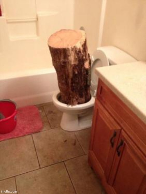 . | image tagged in log in toilet meme | made w/ Imgflip meme maker