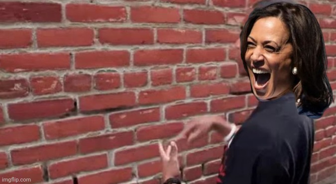 Kamala talking to Walz | image tagged in man talking to brick wall,tim walz,kamala harris,hyena,cackling | made w/ Imgflip meme maker