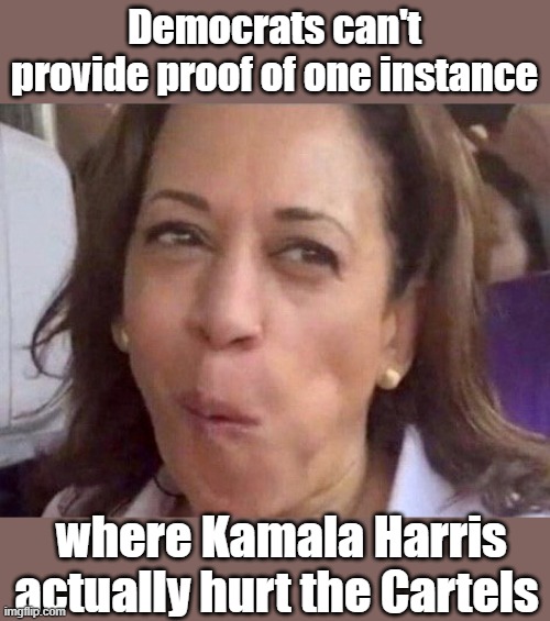 Kamala vs The Cartels is Pure fiction | Democrats can't provide proof of one instance; where Kamala Harris
actually hurt the Cartels | image tagged in kamala harris,cartels | made w/ Imgflip meme maker