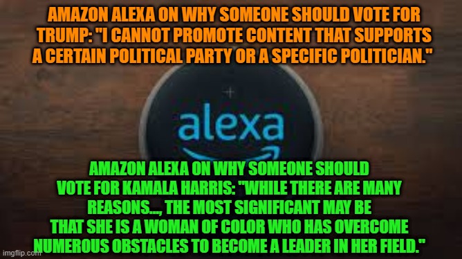 OOPS!!!  Amazon explains: "This was an error that was quickly fixed." | AMAZON ALEXA ON WHY SOMEONE SHOULD VOTE FOR TRUMP: "I CANNOT PROMOTE CONTENT THAT SUPPORTS A CERTAIN POLITICAL PARTY OR A SPECIFIC POLITICIAN."; AMAZON ALEXA ON WHY SOMEONE SHOULD VOTE FOR KAMALA HARRIS: "WHILE THERE ARE MANY REASONS..., THE MOST SIGNIFICANT MAY BE THAT SHE IS A WOMAN OF COLOR WHO HAS OVERCOME NUMEROUS OBSTACLES TO BECOME A LEADER IN HER FIELD." | made w/ Imgflip meme maker