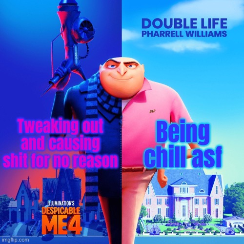 Double Life | Tweaking out and causing shit for no reason; Being chill asf | image tagged in double life | made w/ Imgflip meme maker