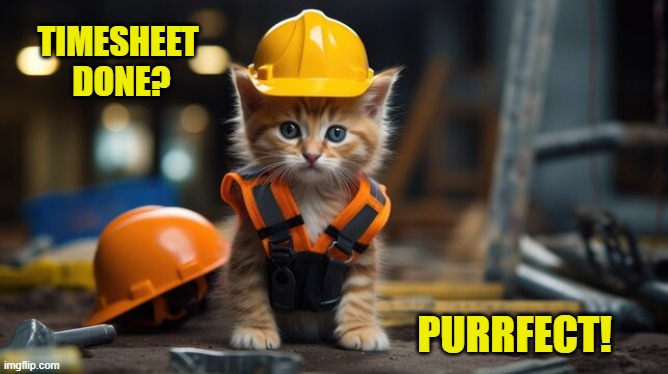 Kitten timesheet reminder | TIMESHEET 
DONE? PURRFECT! | image tagged in kitten timesheet reminder,timesheet reminder,timesheet meme,memes,cat memes,kitten memes | made w/ Imgflip meme maker