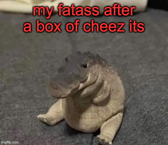 my fatass after a box of cheez its | image tagged in temp | made w/ Imgflip meme maker