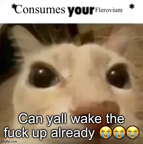 Yakko consumes your flerovium | Can yall wake the fuck up already 😭😭😭 | image tagged in yakko consumes your flerovium | made w/ Imgflip meme maker