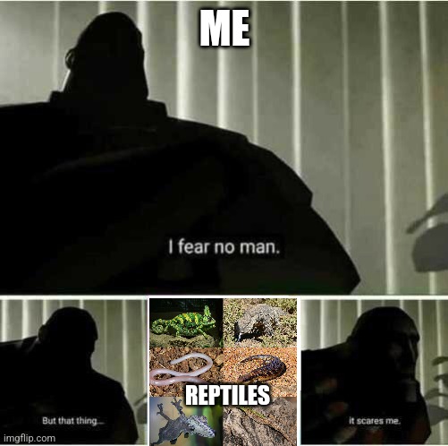 I fear no man | ME; REPTILES | image tagged in i fear no man | made w/ Imgflip meme maker