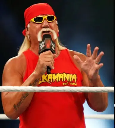 Hulk Hogan talking Blank Meme Template