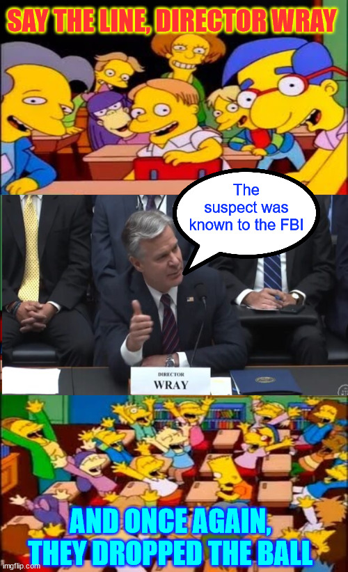 And Once Again, The FBI Dropped the Ball | SAY THE LINE, DIRECTOR WRAY; The suspect was known to the FBI; AND ONCE AGAIN, THEY DROPPED THE BALL | image tagged in incompetent fbi,once again,dropped the ball,must be election season | made w/ Imgflip meme maker