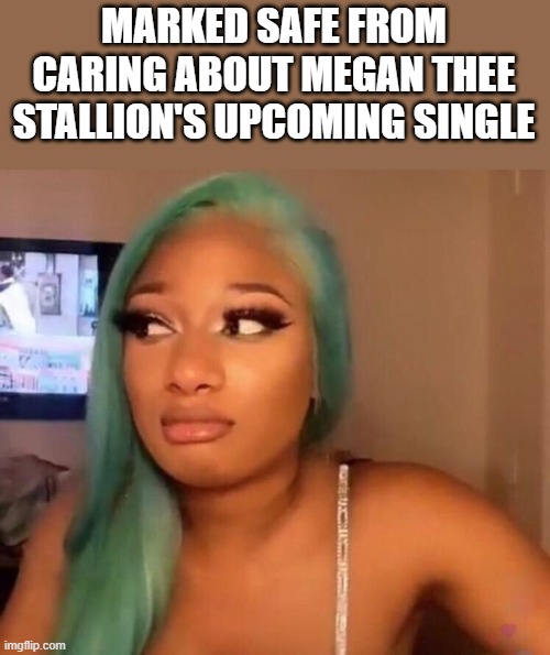 Megan Thee Stallion's Upcoming Single | MARKED SAFE FROM CARING ABOUT MEGAN THEE STALLION'S UPCOMING SINGLE | image tagged in megan thee stallion,upcoming,single,marked safe from,funny,memes | made w/ Imgflip meme maker