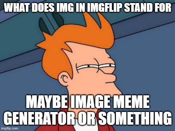 WHAT IS IT | WHAT DOES IMG IN IMGFLIP STAND FOR; MAYBE IMAGE MEME GENERATOR OR SOMETHING | image tagged in memes,futurama fry | made w/ Imgflip meme maker