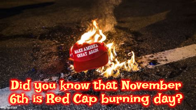 Flame On! | Did you know that November 6th is Red Cap burning day? | image tagged in the torch is passed to harris,trump drops out,election day,maga hat,trump's trashed,bigest loser | made w/ Imgflip meme maker