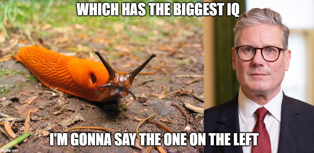 WHICH HAS THE BIGGEST IQ; I'M GONNA SAY THE ONE ON THE LEFT | image tagged in slug belated birthday,kier starmer | made w/ Imgflip meme maker