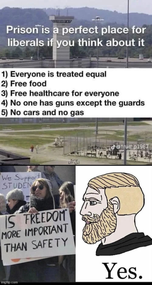 Libs think safety is more important than freedom because the MSM wants it that way | image tagged in stupid people,giving up their rights,becuase the propaganda tells them to do it | made w/ Imgflip meme maker