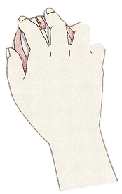 Hitori's mouse Blank Meme Template