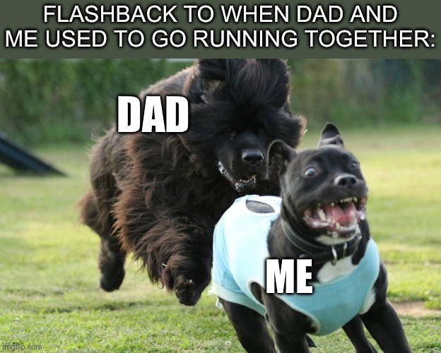 Father and son | FLASHBACK TO WHEN DAD AND ME USED TO GO RUNNING TOGETHER:; DAD; ME | image tagged in dog chase,father,running dad,dad and son | made w/ Imgflip meme maker