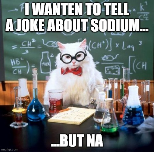 Chemistry Cat | I WANTEN TO TELL A JOKE ABOUT SODIUM... ...BUT NA | image tagged in memes,chemistry cat | made w/ Imgflip meme maker