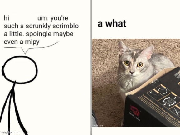 scrunkly scrimblo | image tagged in scrunkly scrimblo | made w/ Imgflip meme maker