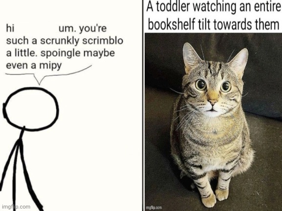 scrunkly scrimblo | image tagged in scrunkly scrimblo | made w/ Imgflip meme maker