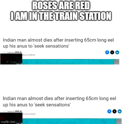 What | ROSES ARE RED
I AM IN THE TRAIN STATION | image tagged in cmrevn | made w/ Imgflip meme maker