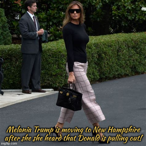 Pulling out... | Melania Trump is moving to New Hampshire after she she heard that Donald is pulling out! | image tagged in trump pulls outta new hampshire,bye donolt,maga mischief,melania missing,trophy wile | made w/ Imgflip meme maker