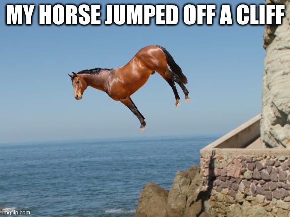 horse jumping off a cliff | MY HORSE JUMPED OFF A CLIFF | image tagged in cliff diver,horse jumping | made w/ Imgflip meme maker