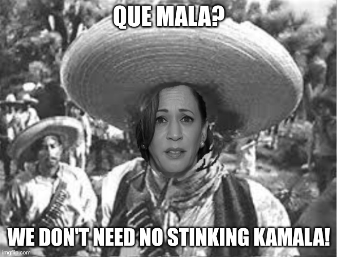 Que Mala | QUE MALA? WE DON'T NEED NO STINKING KAMALA! | image tagged in we don't need no stinking badges | made w/ Imgflip meme maker