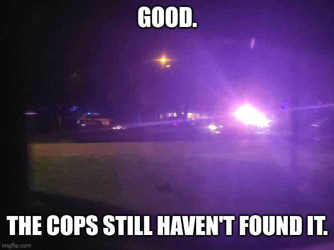 Cops were on my road last night. Couldn't sleep until 1 | GOOD. THE COPS STILL HAVEN'T FOUND IT. | image tagged in msmg,police,cant sleep,tired | made w/ Imgflip meme maker