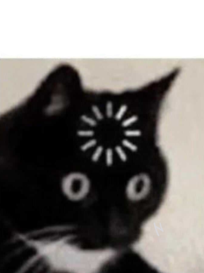 High Quality Forgot Cat Blank Meme Template