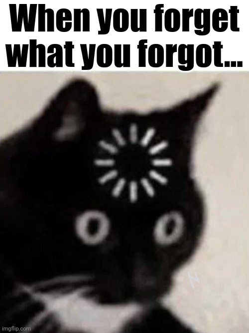 . | When you forget what you forgot... | image tagged in forgot cat,i forgor,i forgot,cat,downloading,memes | made w/ Imgflip meme maker