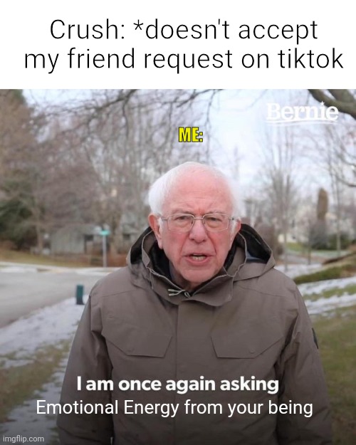 Bernie I Am Once Again Asking For Your Support | Crush: *doesn't accept my friend request on tiktok; ME:; Emotional Energy from your being | image tagged in memes,bernie i am once again asking for your support | made w/ Imgflip meme maker