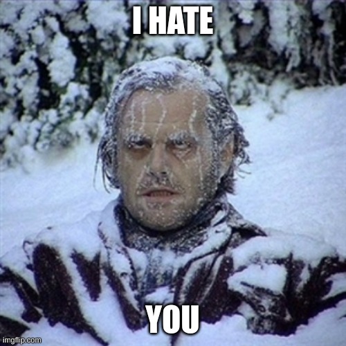 Frozen Guy | I HATE YOU | image tagged in frozen guy | made w/ Imgflip meme maker