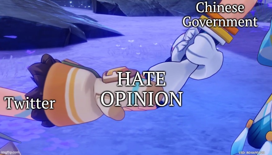 Never tell Twitter and Chinese Government you have opinion. | Chinese Government; HATE OPINION; Twitter | image tagged in memes,chinese government,twitter,opinion | made w/ Imgflip meme maker