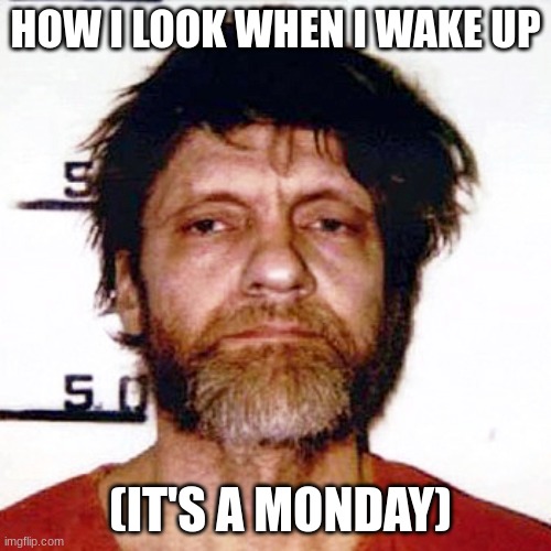 Mondays | HOW I LOOK WHEN I WAKE UP; (IT'S A MONDAY) | image tagged in unabomber,the most interesting man in the world,mail | made w/ Imgflip meme maker