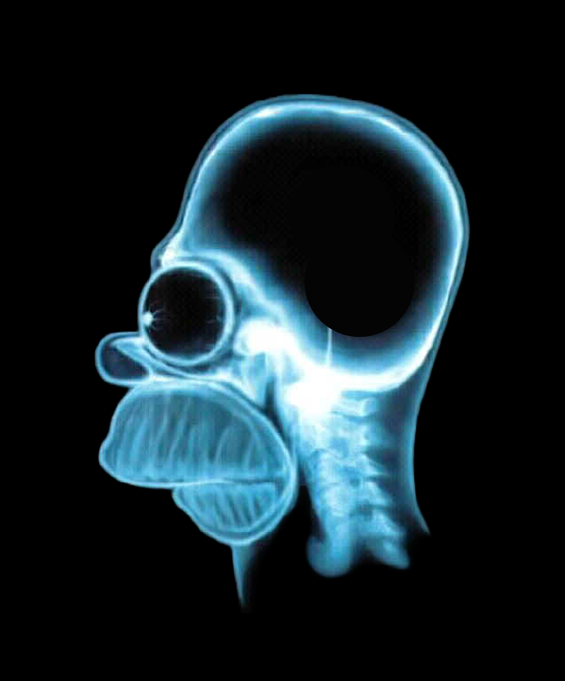 High Quality Homer brain scan meme Blank Meme Template