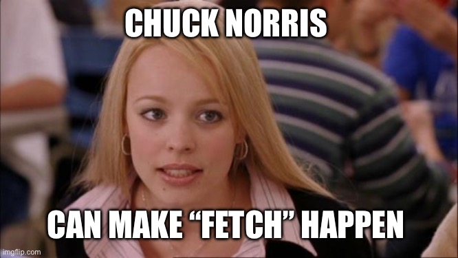 Its Not Going To Happen | CHUCK NORRIS; CAN MAKE “FETCH” HAPPEN | image tagged in memes,its not going to happen | made w/ Imgflip meme maker