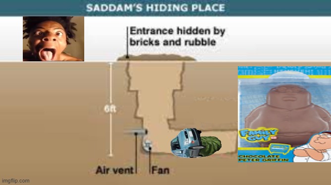 hiding spot no saddam hussein | image tagged in hiding spot no saddam hussein | made w/ Imgflip meme maker