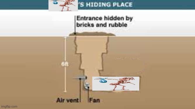 hiding spot no saddam hussein | image tagged in hiding spot no saddam hussein | made w/ Imgflip meme maker