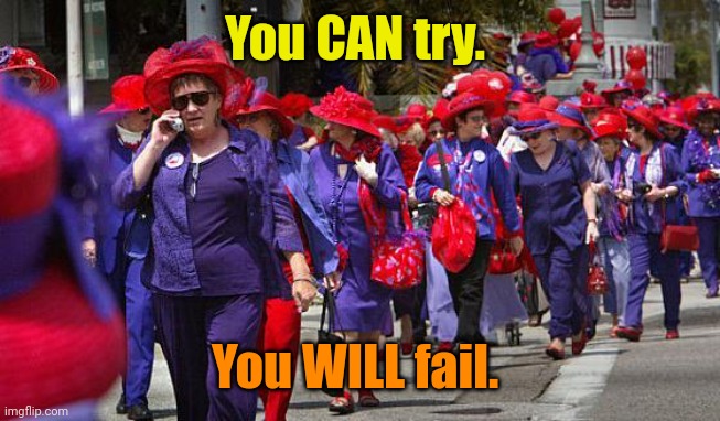 Red Hat Society march | You CAN try. You WILL fail. | image tagged in red hat society march | made w/ Imgflip meme maker