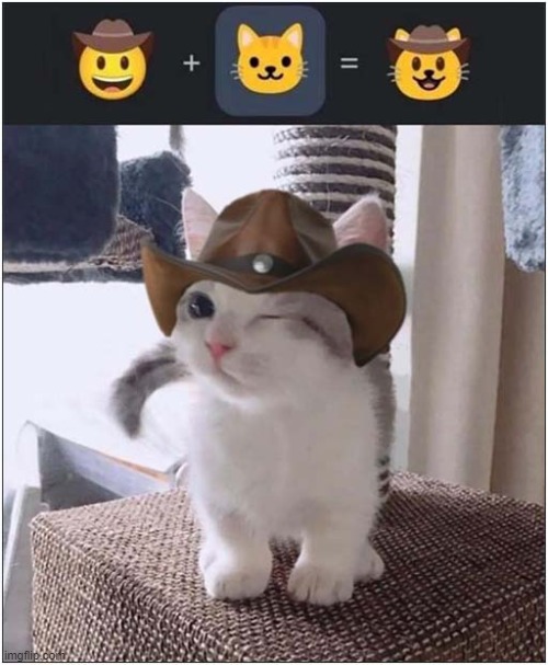 Smile ! | image tagged in cats,emojis,kitten,cowboy hat | made w/ Imgflip meme maker