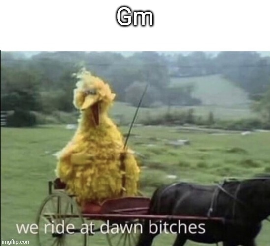 We ride at dawn bitches | Gm | image tagged in we ride at dawn bitches | made w/ Imgflip meme maker