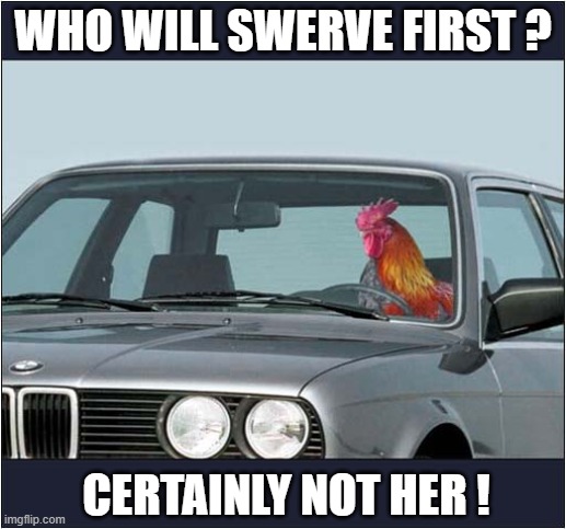 A Dangerous Game ! | WHO WILL SWERVE FIRST ? CERTAINLY NOT HER ! | image tagged in playing chicken,dark humour | made w/ Imgflip meme maker