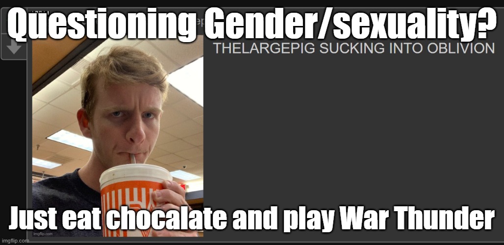 (InvaderBethany: temporary solution, but sure. Go have fun.) | Questioning Gender/sexuality? Just eat chocalate and play War Thunder | image tagged in thelargepig sucking into oblivion | made w/ Imgflip meme maker