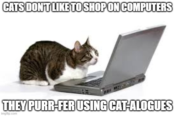 memes by Brad - Cats purr-fer cat-alogues | CATS DON'T LIKE TO SHOP ON COMPUTERS; THEY PURR-FER USING CAT-ALOGUES | image tagged in funny,cats,kittens,funny cat memes,cute kitten,humor | made w/ Imgflip meme maker