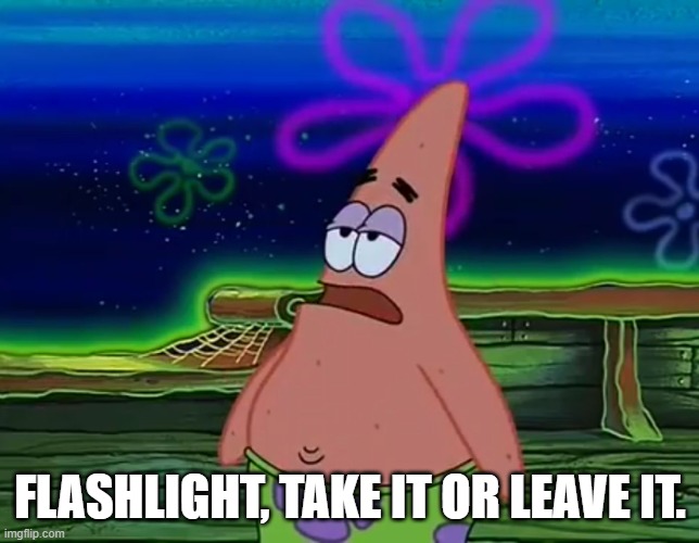 Patrick Star Take It Or Leave | FLASHLIGHT, TAKE IT OR LEAVE IT. | image tagged in patrick star take it or leave | made w/ Imgflip meme maker