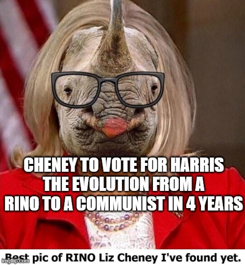 Cheney Voting For Harris | CHENEY TO VOTE FOR HARRIS
THE EVOLUTION FROM A
RINO TO A COMMUNIST IN 4 YEARS | image tagged in cheney voting for harris | made w/ Imgflip meme maker