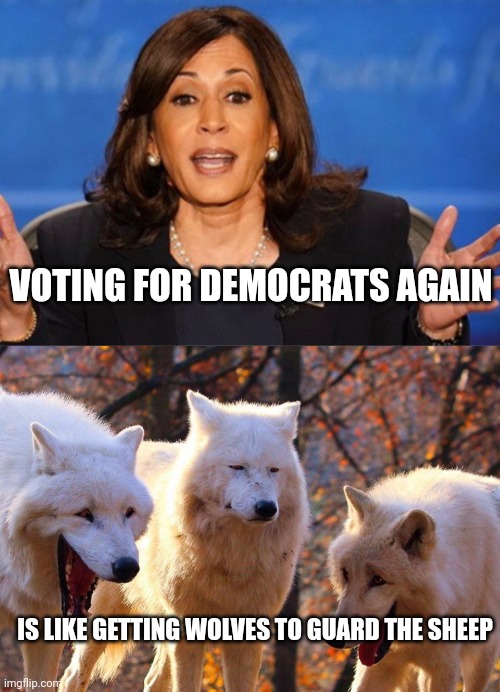 IS LIKE GETTING WOLVES TO GUARD THE SHEEP VOTING FOR DEMOCRATS AGAIN | image tagged in kamala harris,2/3 wolves laugh | made w/ Imgflip meme maker