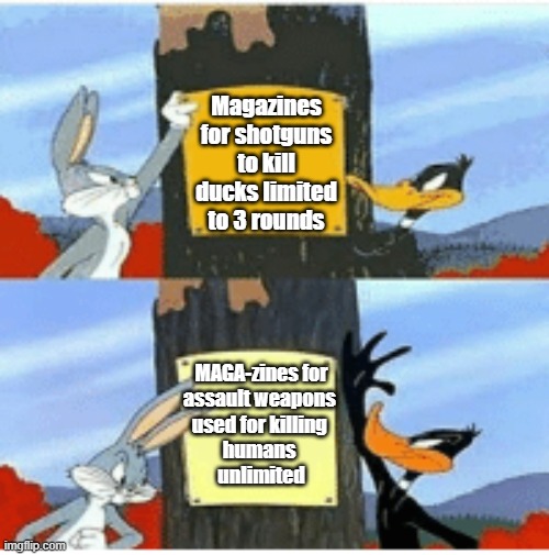 Guns ducks | Magazines for shotguns to kill ducks limited to 3 rounds; MAGA-zines for
assault weapons 
used for killing 
humans 
unlimited | image tagged in magazine limit,ducks,gun,assault weapon | made w/ Imgflip meme maker