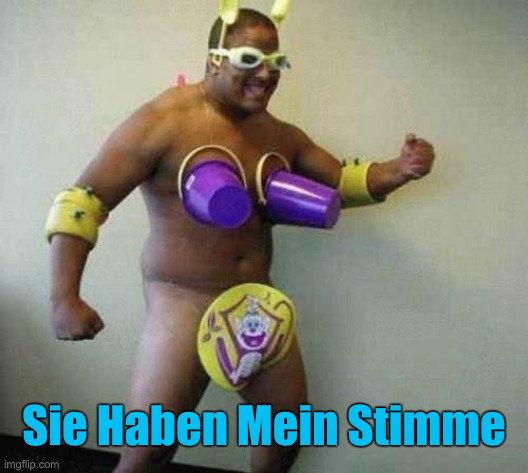 Idiot Man | Sie Haben Mein Stimme | image tagged in idiot man | made w/ Imgflip meme maker